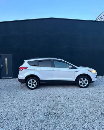 Ford Escape cena 38500 przebieg: 186000, rok produkcji 2015 z Zgorzelec małe 326